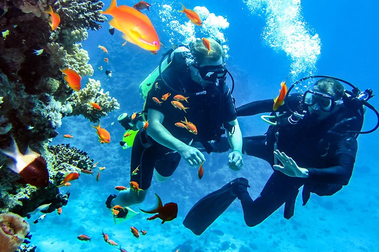 Explore. Experience. Remember.